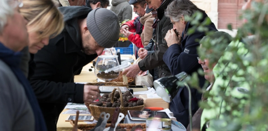 Truffle festival